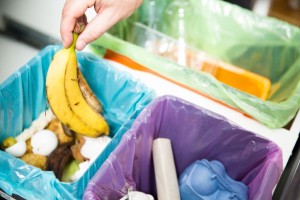 Woman putting banana peel in recycling bio bin in the kitchen. P
